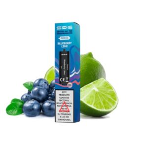 SKE 4 en 1 Pack 4 Pods Blueberry Lime