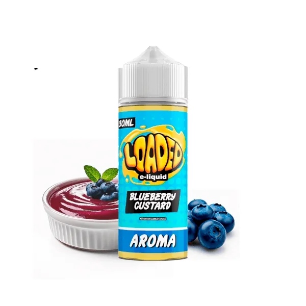 Loaded Blueberry Custard Longfill 30ml